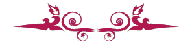 Ornate seperation border